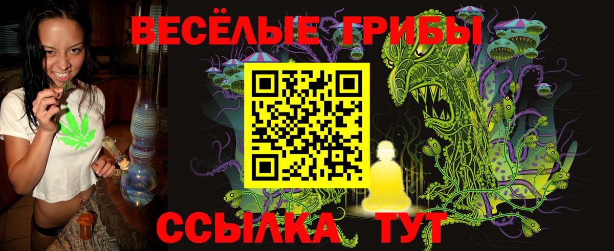 Галлюциногенные грибы Cubensis Благодарный