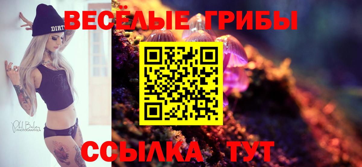 Псилоцибиновые грибы мицелий  Вход с VPN  Благодарный 